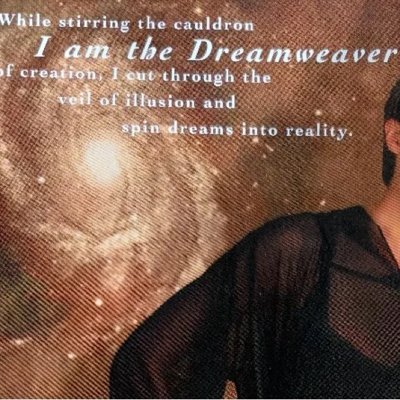 Black Hooded Silk Chiffon Dress - Picture 4 of 4